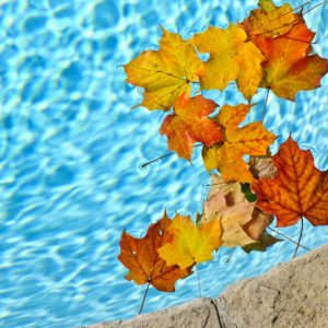 Comment préparer ma piscine pour l’hiver ?